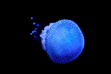 Similar image 22007816