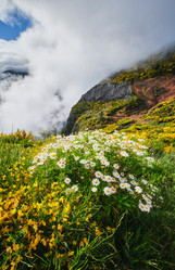 Similar image 22007838