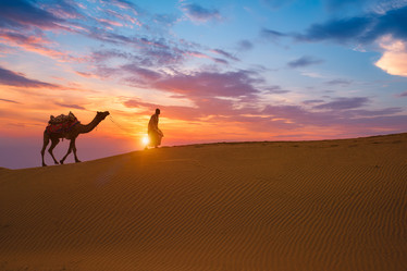 Similar image 22007839