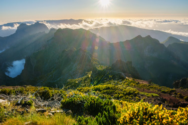 Similar image 22007848