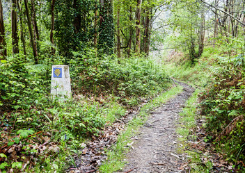 Similar image 22011494