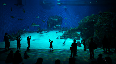 Similar image 22008205