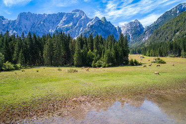 Similar image 22008251