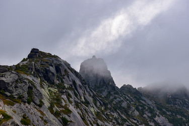 Similar image 22007196