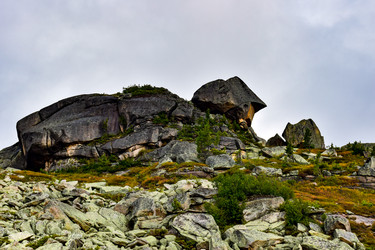 Similar image 22007201