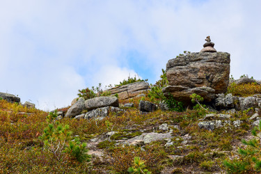 Similar image 22007205