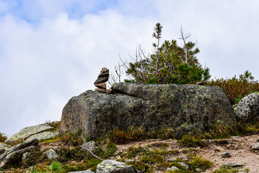 Similar image 22007206