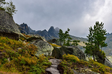 Similar image 22007207