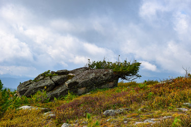 Similar image 22007208