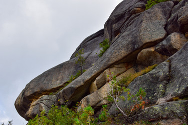 Similar image 22007209