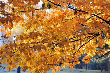 Similar image 22015940