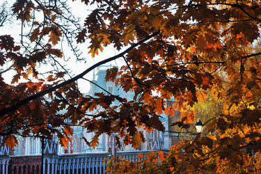 Similar image 22015941