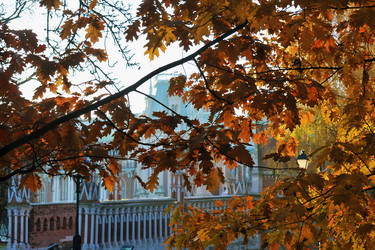 Similar image 22015942