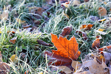 Similar image 22015946