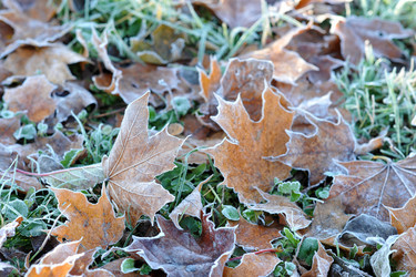 Similar image 22015947