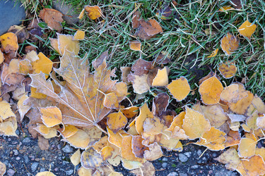 Similar image 22007455