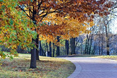 Similar image 22007457