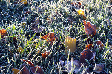 Similar image 22007458