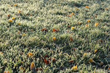 Similar image 22007460