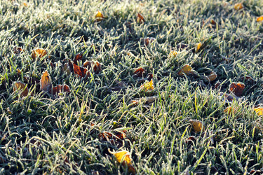 Similar image 22007461