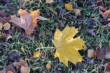 Similar image 22007462