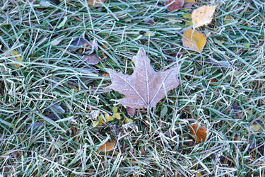 Similar image 22007465