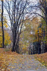 Similar image 22007467