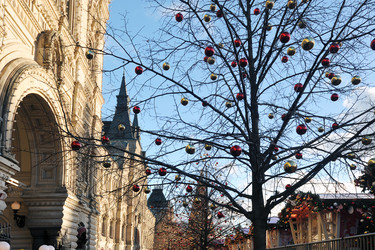 Similar image 22007476