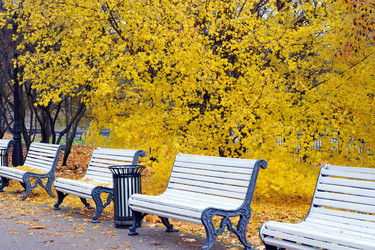 Similar image 22007480