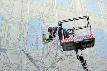 Similar image 22007483