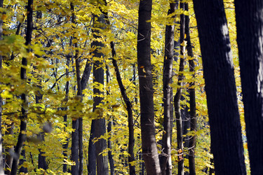 Similar image 22007484