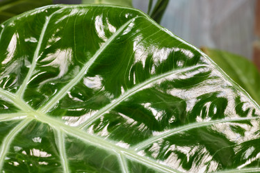 Similar image 22014281