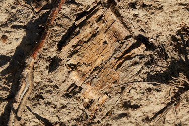 Similar image 22014283