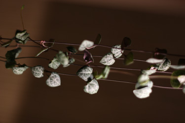 Similar image 22014288