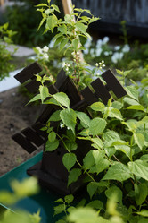 Similar image 22014296