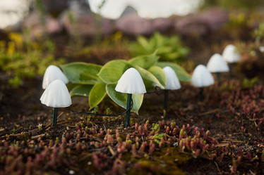 Similar image 22014297