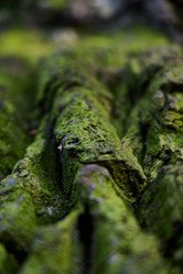 Similar image 22017427