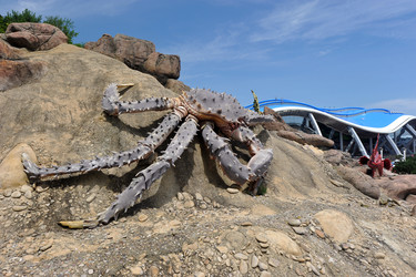 Similar image 22007485