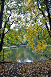 Similar image 22007530