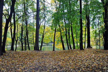 Similar image 22007532