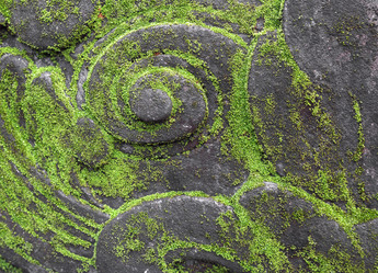 Similar image 22011511