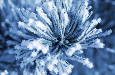 Similar image 22011545