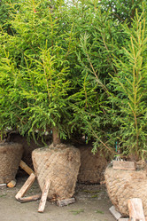 Similar image 22007579