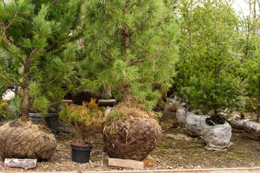 Similar image 22007580