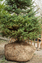 Similar image 22007581