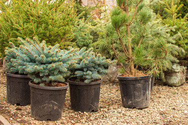 Similar image 22007582