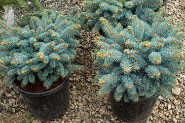 Similar image 22007583