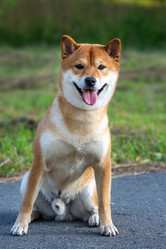 Similar image 22007585