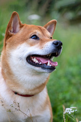 Similar image 22007586