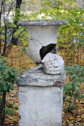 Similar image 22007493